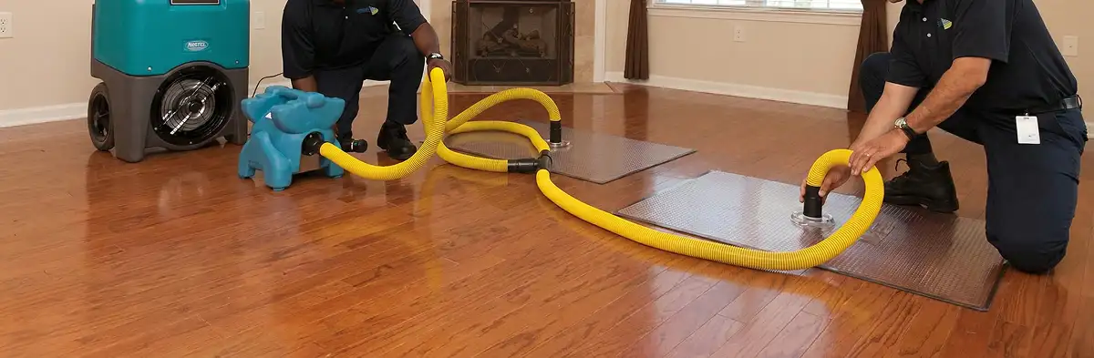 emergency water removal technicians extracting standing water from a home using professional equipment in Grand Rapids, MI